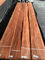 8% Moisture Plain Sliced Veneer Interior Decoration 250cm Apple Veneer